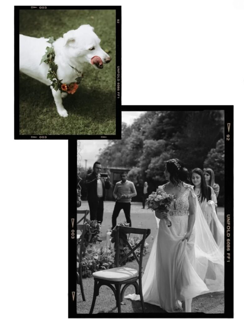 Screenshot_20240111_122326_Instagram